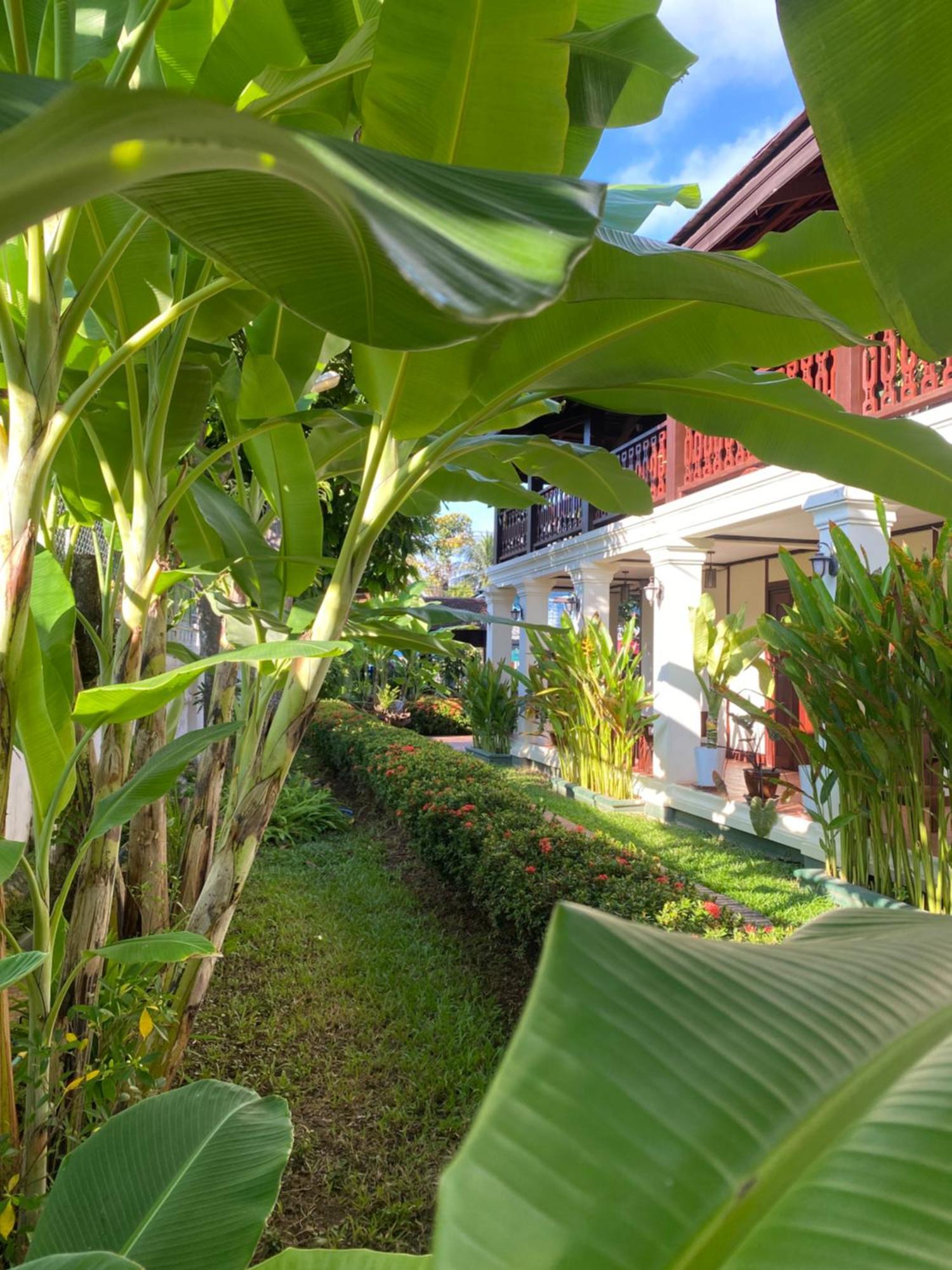 Luang Prabang Residence & Travel Exterior foto