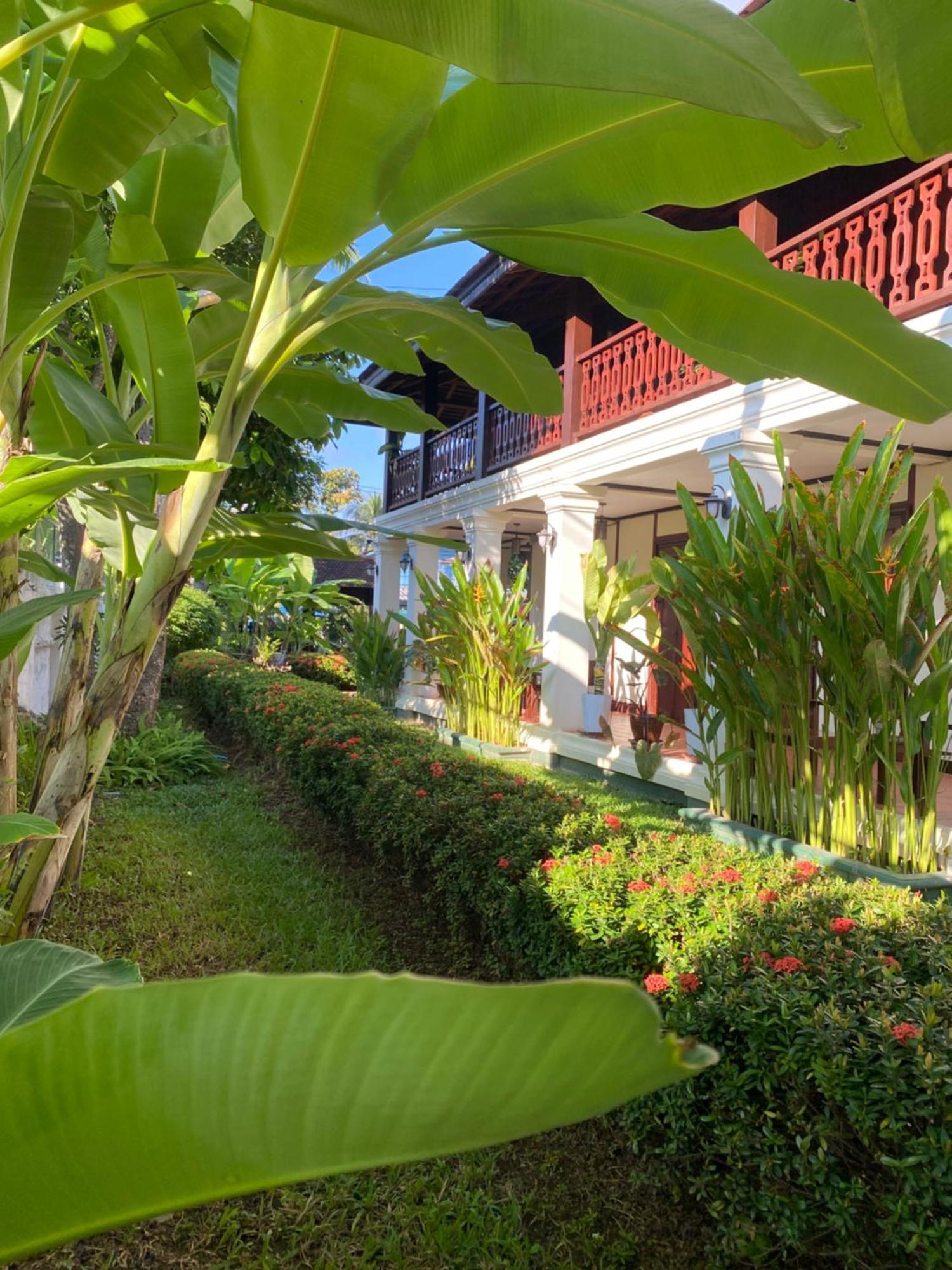 Luang Prabang Residence & Travel Exterior foto